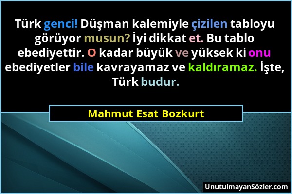 Mahmut Esat Bozkurt - Türk genci! Düşman kalemiyle çizilen tabloyu görüyor musun? İyi dikkat et. Bu tablo ebediyettir. O kadar büyük ve yüksek ki onu...