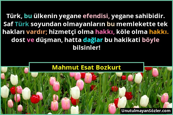 Mahmut Esat Bozkurt - Türk, bu ülkenin yegane efendisi, yegane sahibidir. Saf Türk soyundan olmayanların bu memlekette tek hakları vardır; hizmetçi ol...