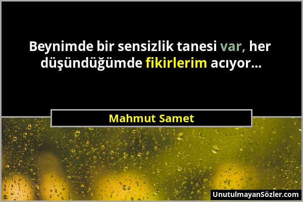 Mahmut Samet - Beynimde bir sensizlik tanesi var, her düşündüğümde fikirlerim acıyor......