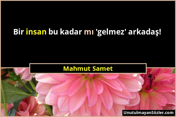 Mahmut Samet - Bir insan bu kadar mı 'gelmez' arkadaş!...