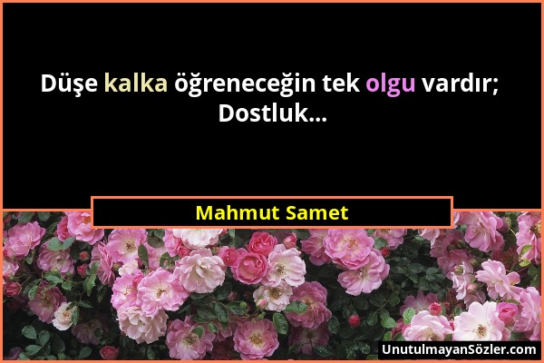 Mahmut Samet - Düşe kalka öğreneceğin tek olgu vardır; Dostluk......