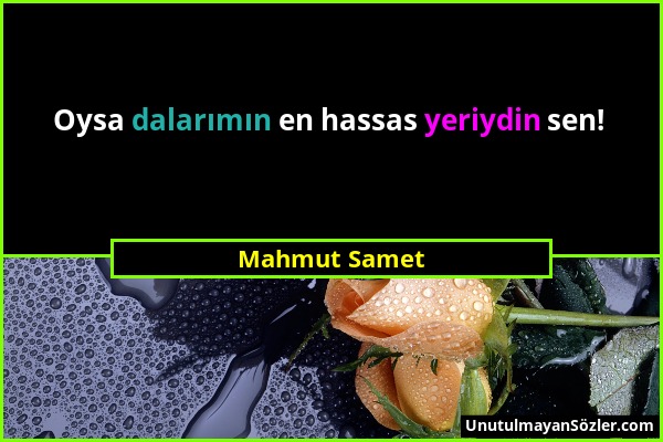 Mahmut Samet - Oysa dalarımın en hassas yeriydin sen!...