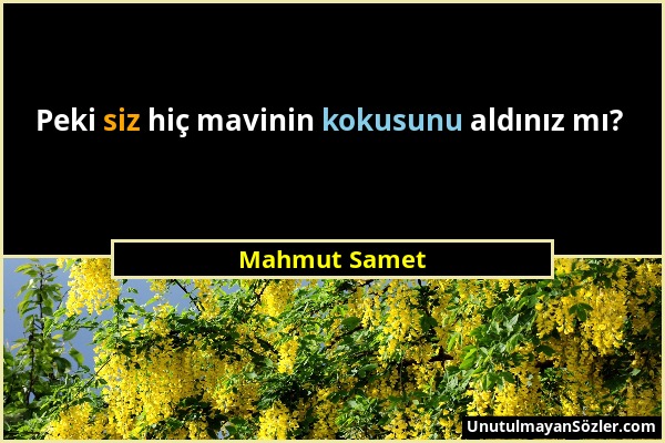 Mahmut Samet - Peki siz hiç mavinin kokusunu aldınız mı?...