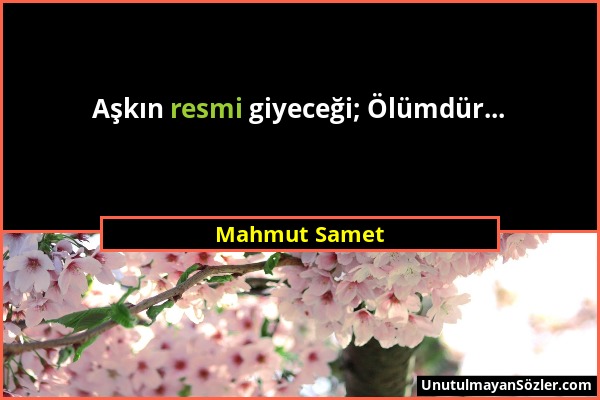 Mahmut Samet - Aşkın resmi giyeceği; Ölümdür......