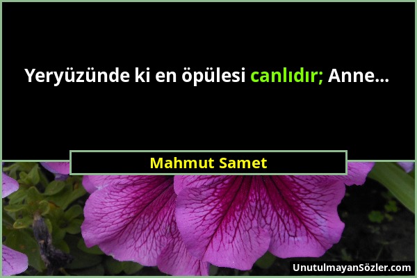 Mahmut Samet - Yeryüzünde ki en öpülesi canlıdır; Anne......