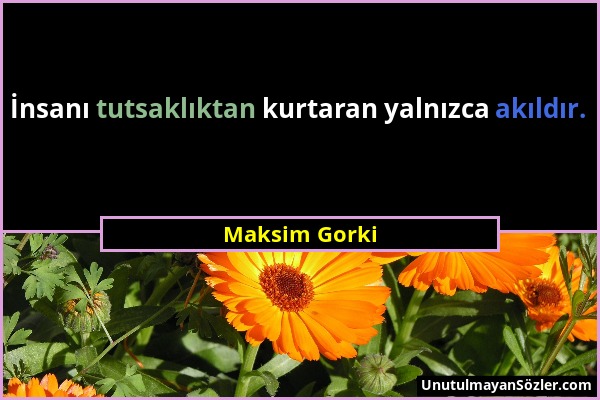 Maksim Gorki - İnsanı tutsaklıktan kurtaran yalnızca akıldır....