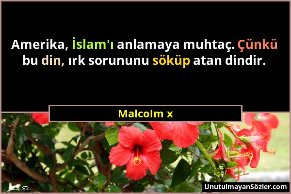 Malcolm x - Amerika, İslam'ı anlamaya muhtaç. Çünkü bu din, ırk sorununu söküp atan dindir....