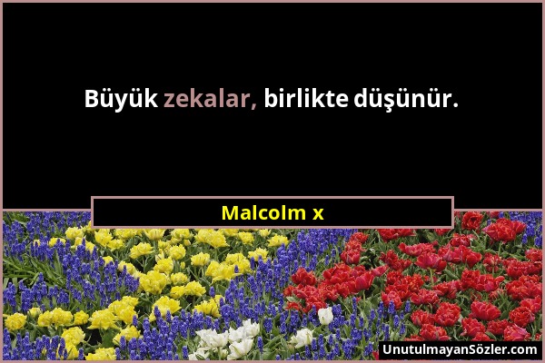 Malcolm x - Büyük zekalar, birlikte düşünür....