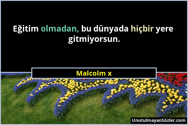 Malcolm x - Eğitim olmadan, bu dünyada hiçbir yere gitmiyorsun....