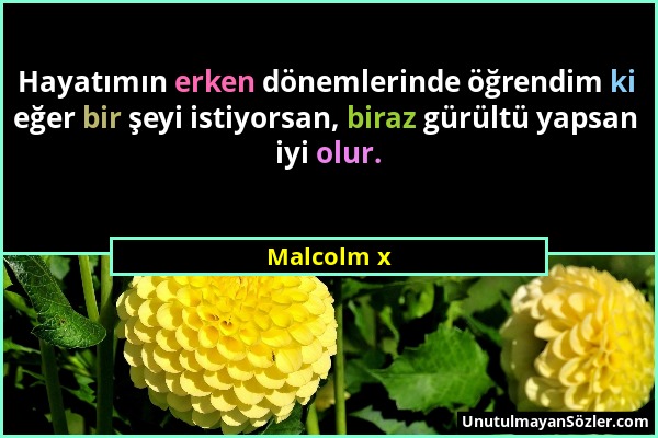 Malcolm x - Hayatımın erken dönemlerinde öğrendim ki eğer bir şeyi istiyorsan, biraz gürültü yapsan iyi olur....