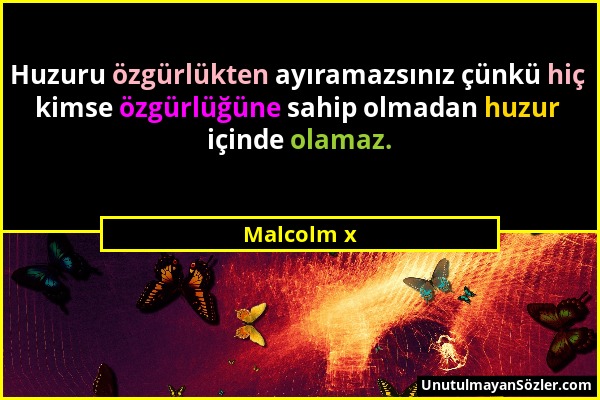 Malcolm x - Huzuru özgürlükten ayıramazsınız çünkü hiç kimse özgürlüğüne sahip olmadan huzur içinde olamaz....