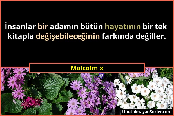 Malcolm x - İnsanlar bir adamın bütün hayatının bir tek kitapla değişebileceğinin farkında değiller....