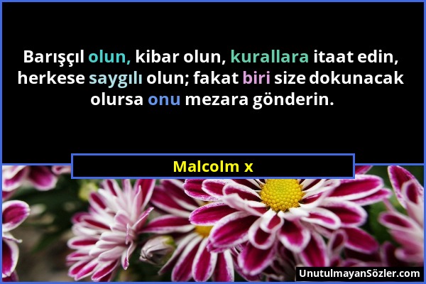 Malcolm x - Barışçıl olun, kibar olun, kurallara itaat edin, herkese saygılı olun; fakat biri size dokunacak olursa onu mezara gönderin....