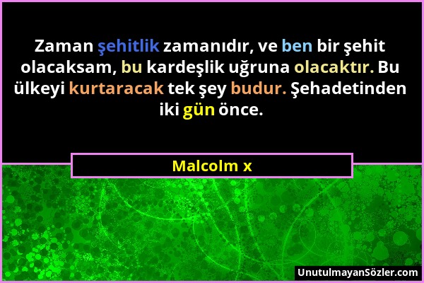 Malcolm x - Zaman şehitlik zamanıdır, ve ben bir şehit olacaksam, bu kardeşlik uğruna olacaktır. Bu ülkeyi kurtaracak tek şey budur. Şehadetinden iki...