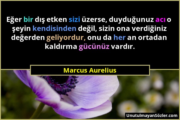 Marcus Aurelius - Eğer bir dış etken sizi üzerse, duyduğunuz acı o şeyin kendisinden değil, sizin ona verdiğiniz değerden geliyordur, onu da her an or...