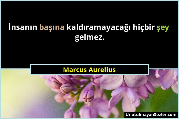 Marcus Aurelius - İnsanın başına kaldıramayacağı hiçbir şey gelmez....