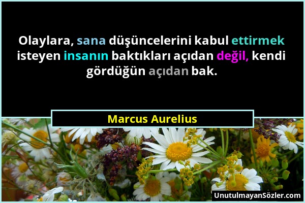 Marcus Aurelius - Olaylara, sana düşüncelerini kabul ettirmek isteyen insanın baktıkları açıdan değil, kendi gördüğün açıdan bak....