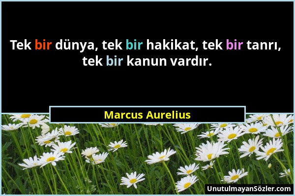 Marcus Aurelius - Tek bir dünya, tek bir hakikat, tek bir tanrı, tek bir kanun vardır....