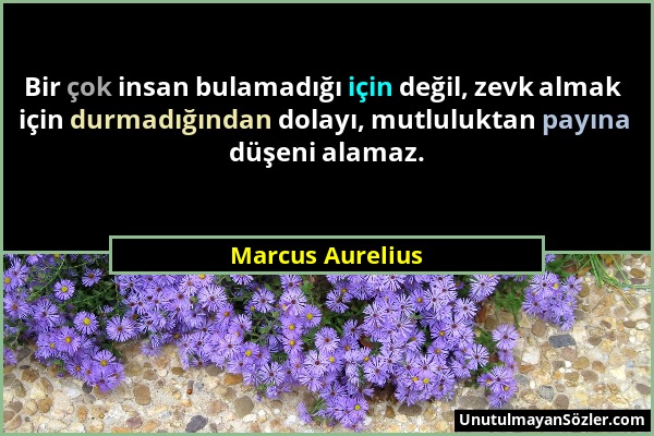 Marcus Aurelius - Bir çok insan bulamadığı için değil, zevk almak için durmadığından dolayı, mutluluktan payına düşeni alamaz....