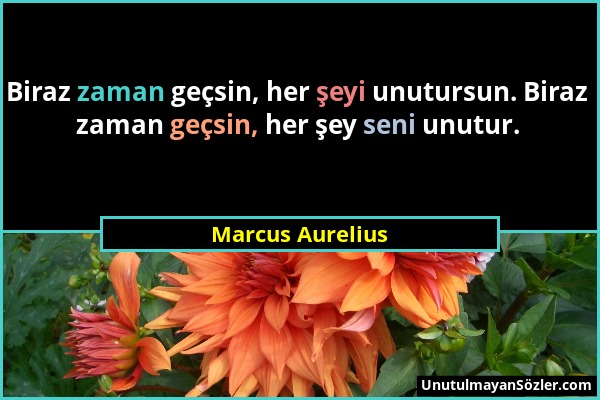 Marcus Aurelius - Biraz zaman geçsin, her şeyi unutursun. Biraz zaman geçsin, her şey seni unutur....