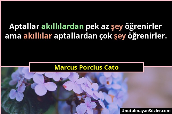 Marcus Porcius Cato - Aptallar akıllılardan pek az şey öğrenirler ama akıllılar aptallardan çok şey öğrenirler....