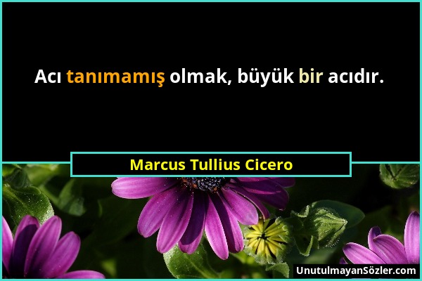 Marcus Tullius Cicero - Acı tanımamış olmak, büyük bir acıdır....