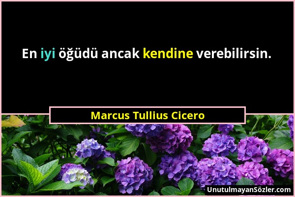 Marcus Tullius Cicero - En iyi öğüdü ancak kendine verebilirsin....