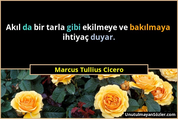 Marcus Tullius Cicero - Akıl da bir tarla gibi ekilmeye ve bakılmaya ihtiyaç duyar....