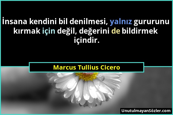 Marcus Tullius Cicero - İnsana kendini bil denilmesi, yalnız gururunu kırmak için değil, değerini de bildirmek içindir....