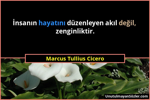 Marcus Tullius Cicero - İnsanın hayatını düzenleyen akıl değil, zenginliktir....