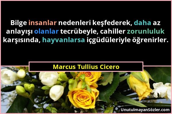 Marcus Tullius Cicero - Bilge insanlar nedenleri keşfederek, daha az anlayışı olanlar tecrübeyle, cahiller zorunluluk karşısında, hayvanlarsa içgüdüle...