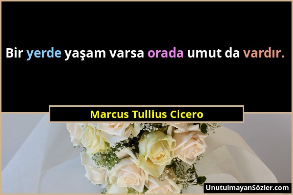 Marcus Tullius Cicero - Bir yerde yaşam varsa orada umut da vardır....