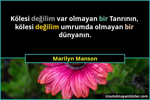 Marilyn Manson - Kölesi değilim var olmayan bir Tanrının, kölesi değilim umrumda olmayan bir dünyanın....