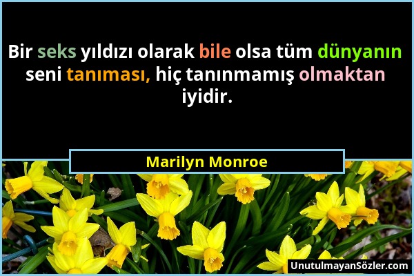 Marilyn Monroe - Bir seks yıldızı olarak bile olsa tüm dünyanın seni tanıması, hiç tanınmamış olmaktan iyidir....