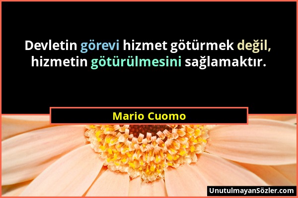 Mario Cuomo - Devletin görevi hizmet götürmek değil, hizmetin götürülmesini sağlamaktır....