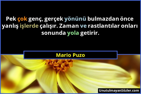 Mario Puzo - Pek çok genç, gerçek yönünü bulmazdan önce yanlış işlerde çalışır. Zaman ve rastlantılar onları sonunda yola getirir....