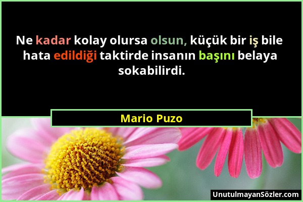 Mario Puzo - Ne kadar kolay olursa olsun, küçük bir iş bile hata edildiği taktirde insanın başını belaya sokabilirdi....