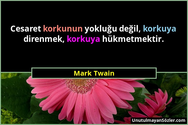 Mark Twain - Cesaret korkunun yokluğu değil, korkuya direnmek, korkuya hükmetmektir....