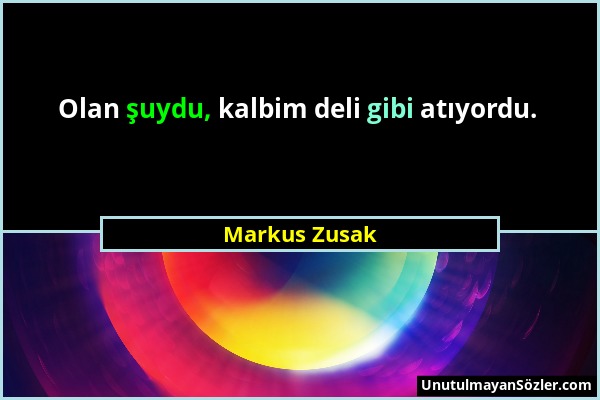 Markus Zusak - Olan şuydu, kalbim deli gibi atıyordu....