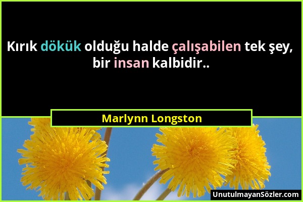 Marlynn Longston - Kırık dökük olduğu halde çalışabilen tek şey, bir insan kalbidir.....