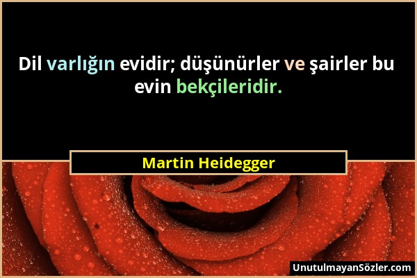 Martin Heidegger - Dil varlığın evidir; düşünürler ve şairler bu evin bekçileridir....