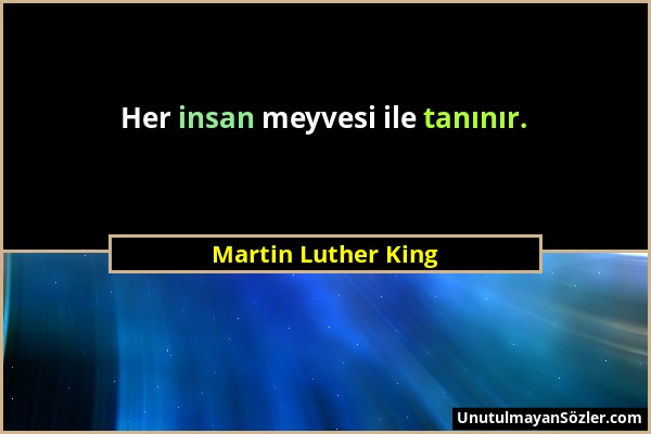 Martin Luther King - Her insan meyvesi ile tanınır....