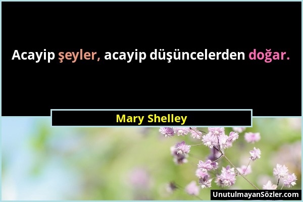 Mary Shelley - Acayip şeyler, acayip düşüncelerden doğar....