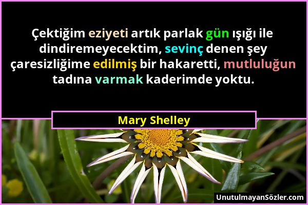 Mary Shelley - Çektiğim eziyeti artık parlak gün ışığı ile dindiremeyecektim, sevinç denen şey çaresizliğime edilmiş bir hakaretti, mutluluğun tadına...