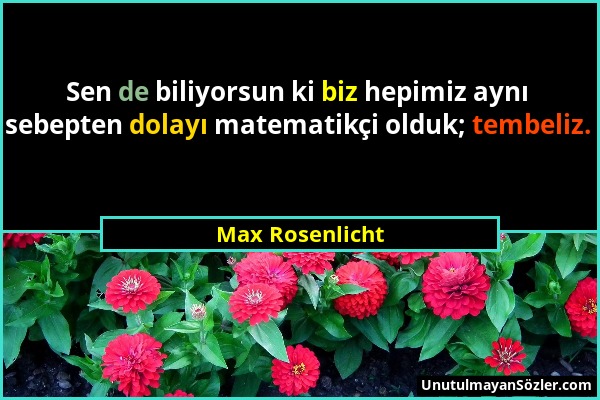 Max Rosenlicht - Sen de biliyorsun ki biz hepimiz aynı sebepten dolayı matematikçi olduk; tembeliz....