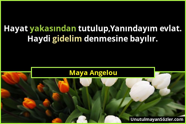 Maya Angelou - Hayat yakasından tutulup,Yanındayım evlat. Haydi gidelim denmesine bayılır....