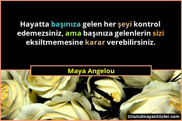 Maya Angelou - Hayatta başınıza gelen her şeyi kontrol edemezsiniz, ama başınıza gelenlerin sizi eksiltmemesine karar verebilirsiniz....