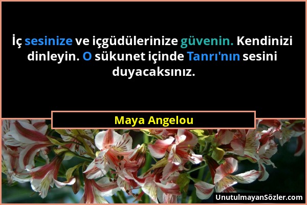 Maya Angelou - İç sesinize ve içgüdülerinize güvenin. Kendinizi dinleyin. O sükunet içinde Tanrı'nın sesini duyacaksınız....