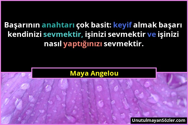 Maya Angelou - Başarının anahtarı çok basit: keyif almak başarı kendinizi sevmektir, işinizi sevmektir ve işinizi nasıl yaptığınızı sevmektir....