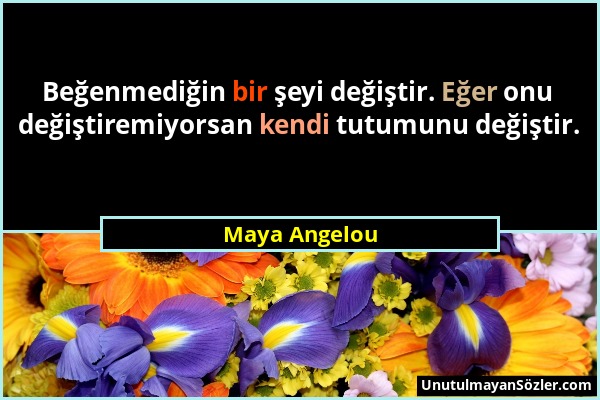 Maya Angelou - Beğenmediğin bir şeyi değiştir. Eğer onu değiştiremiyorsan kendi tutumunu değiştir....